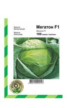 Насіння Капуста б/к Мегатон F1 100н