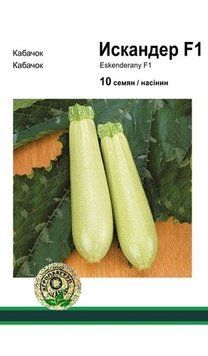 Насіння Кабачок Іскандер 10н