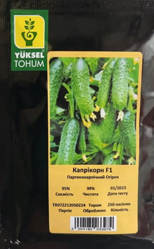 Насіння Огірок самозапильний Капрікорн F1 YT, 250 шт
