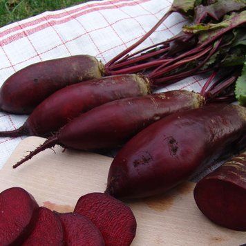Насіння Буряк столовий довгий Ренова