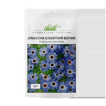 Насіння Брахікома Блакитний вогник 0,3 гр