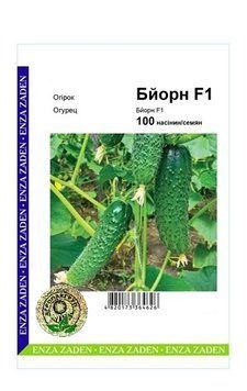 Насіння Огірок Бйорн F1, 100н