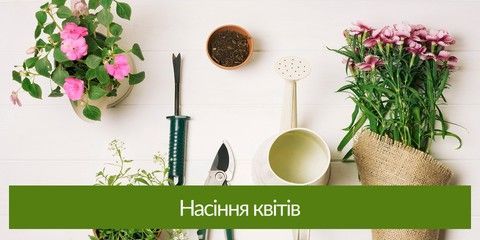 Насіння квітів