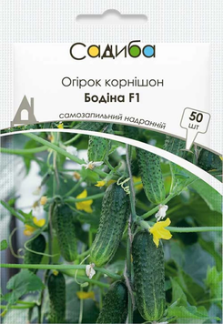 Насіння Огірок Бодіна F1, 50 шт., Садиба