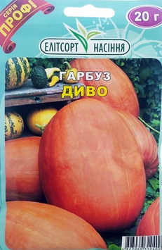 Насіння Гарбуз Диво 20гр