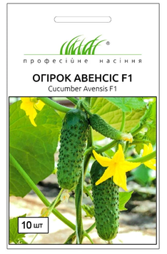 Насіння Огірок Авенсіс F1 самозапильний, 10 шт