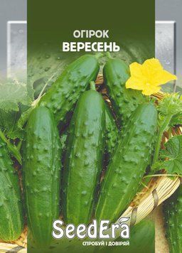 Насіння Огірок Вересень 10г (SeedEra)