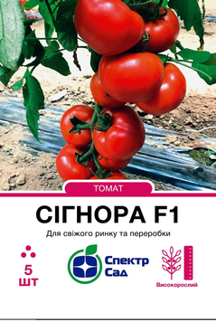 Насіння Сігнора F1, біф-томат, округлий,червоний, 5 нас. СПЕКТР
