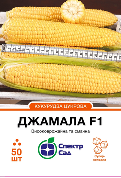 Насіння Джамала F1, кукурудза суперсолодка, середньостигла, 50 нас. СПЕКТР