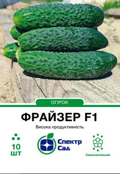 Насіння Фрайзер F1, огірок корнішон, партенокарпічний 10 нас. СПЕКТР