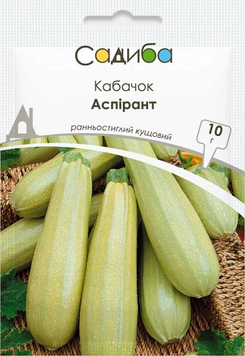 Насіння Кабачок Аспірант, 10 г, Садиба