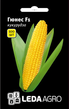 Насіння Кукурудза Гюнес F1, 100 шт (ЛАН)