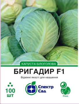 Насіння Бригадир F1, капуста білоголова, пізня, 100 нас. СПЕКТР